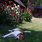 Na Skalicy * Ustroń